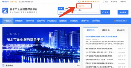 麗水企業 2021年中小微企業服務券申領正式啟動，助力信息技術咨詢服務發展